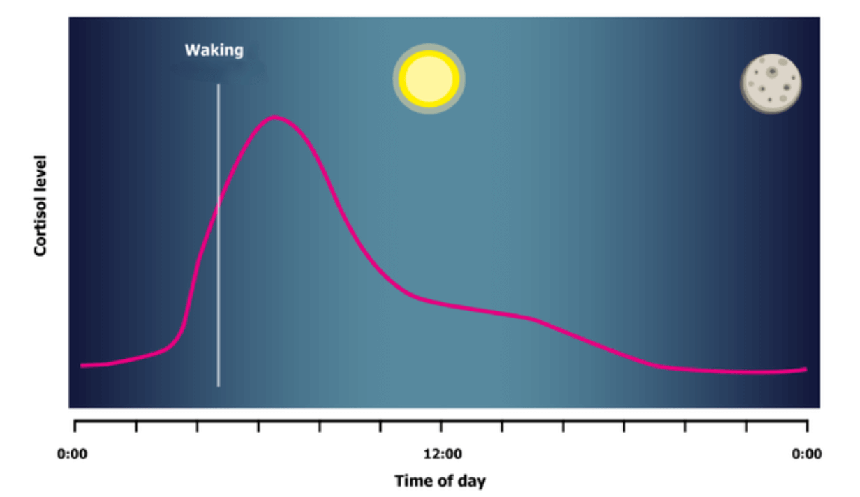 Why Do I Wake Up Anxious? (And How to Stop the Cycle) | TalkingACT.com